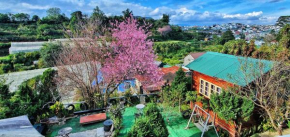 Đèn lồng homestay & coffee